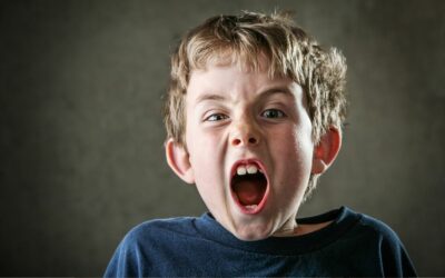 4 Goals of Misbehavior in Kids [updated!]