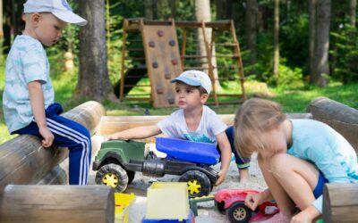 Developmental Stages