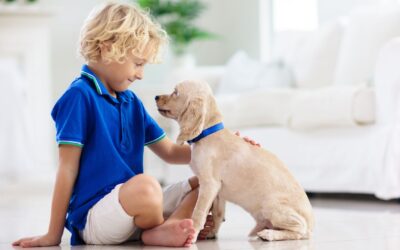 Raising Kids: Wisdom from The Dog Whisperer Revisited