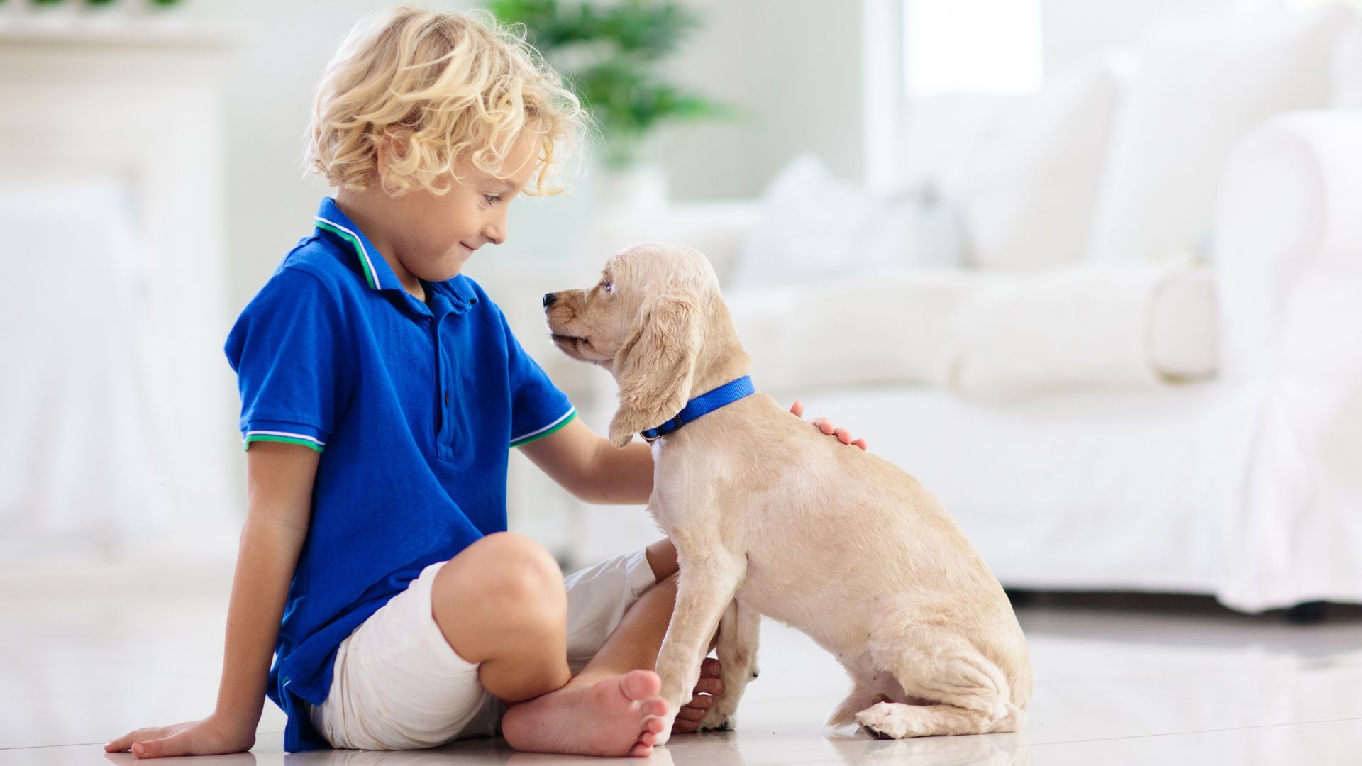 Raising Kids: Wisdom from The Dog Whisperer Revisited