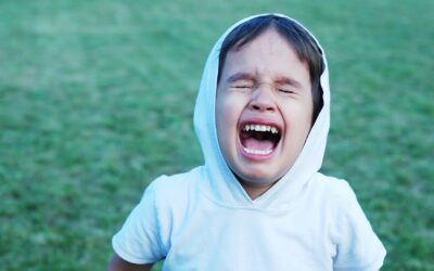 Understanding your kid’s big emotions (anger, crying, etc.)