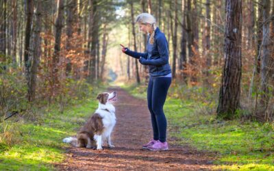 Raising Kids: Wisdom from The Dog Whisperer