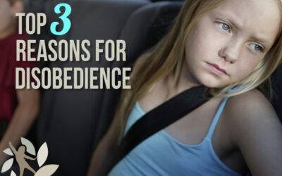 Tired, Hungry, and Bored: Top Three Reasons for Disobedience
