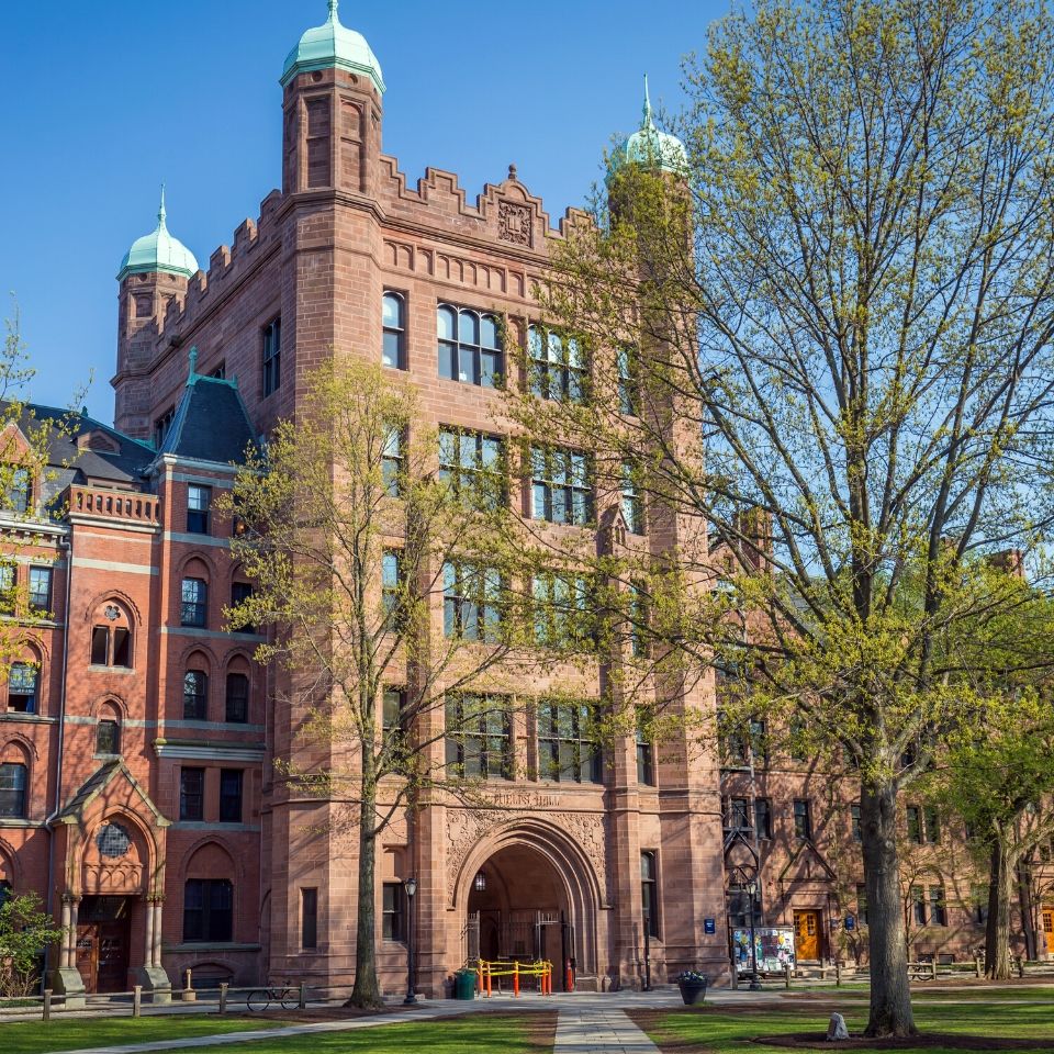 university